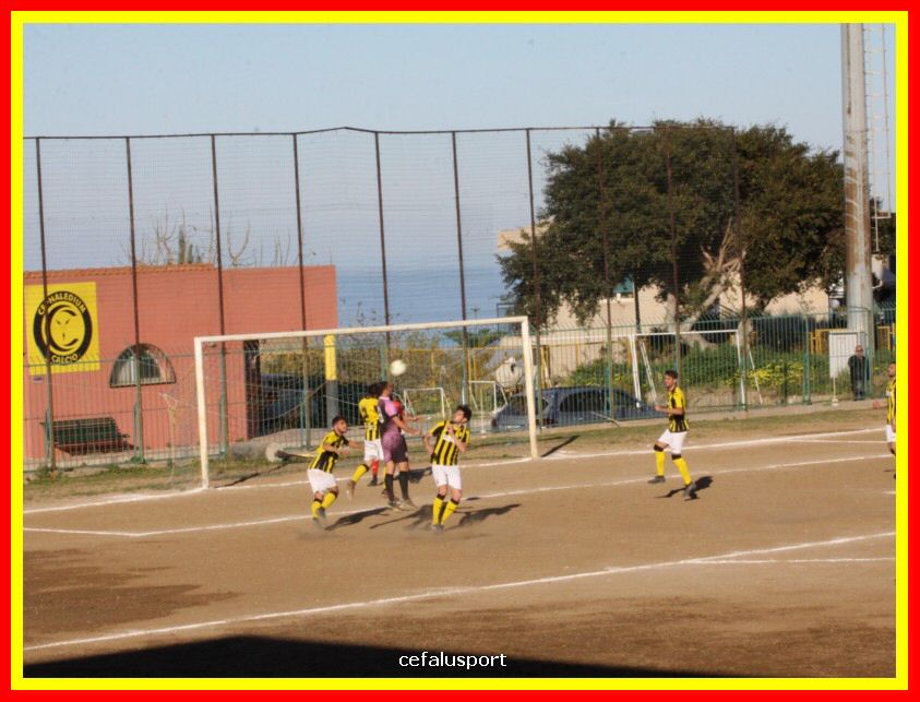 190310 Cephal_Torrenov 150_tn.jpg